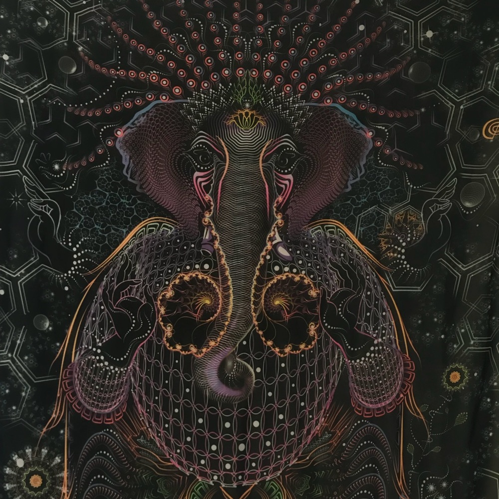 INTRICATE TAPESTRY